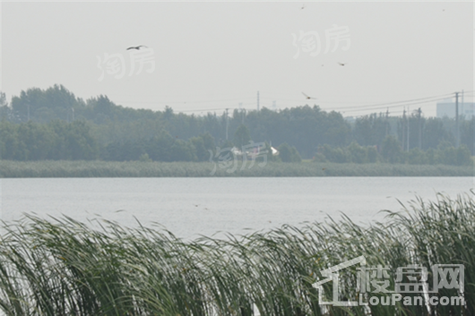 清河半岛别墅配套图