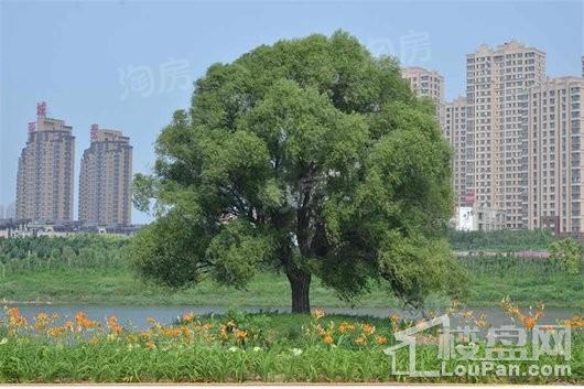 清河半岛别墅配套图