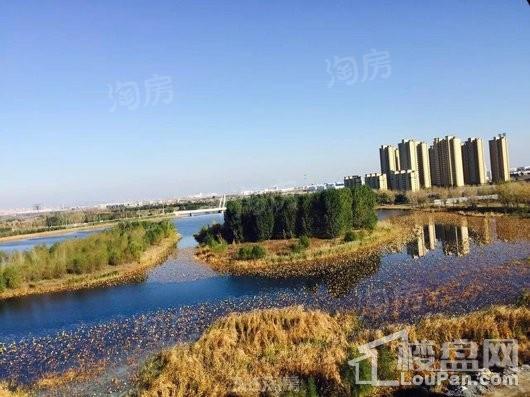 清河半岛别墅配套图