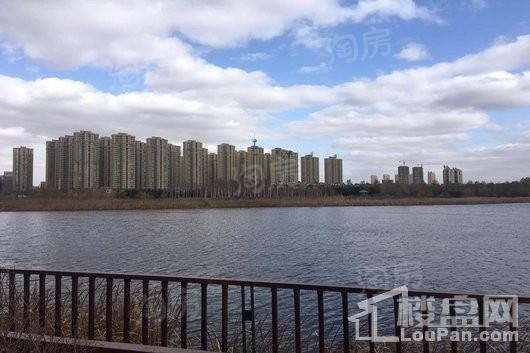 清河半岛别墅配套图