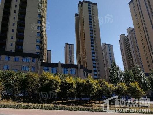 红豆杉温泉花园实景图