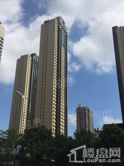 雅颂大苑实景图