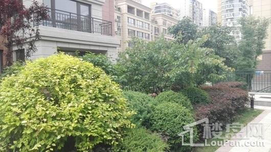 玉祥明居实景图