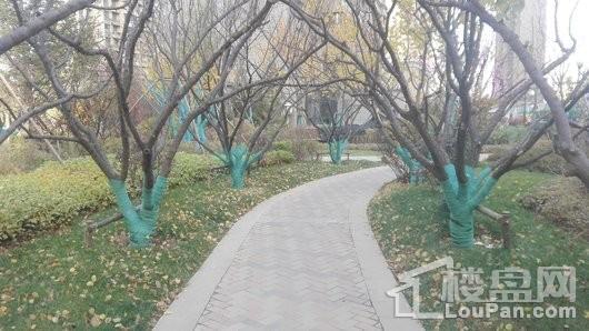 恒大雅苑实景图
