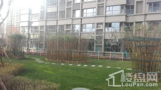 恒大雅苑实景图