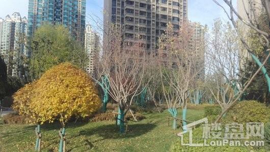 恒大雅苑实景图