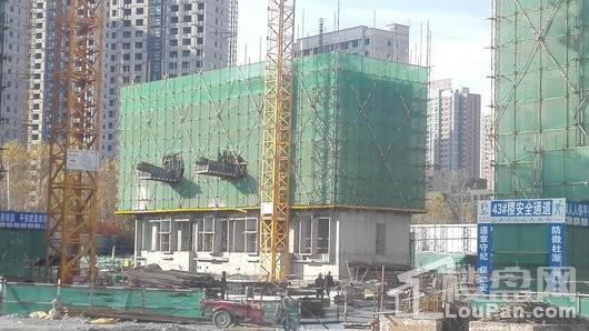 实景图