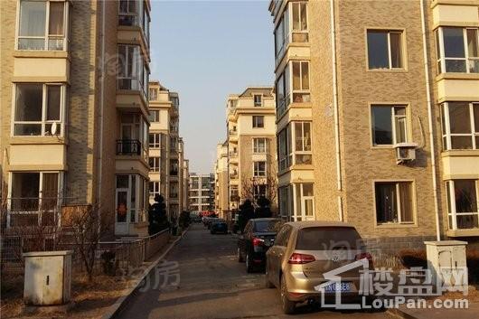 绿色家园实景图