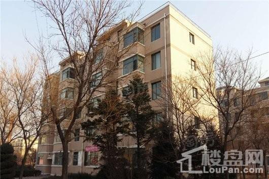 绿色家园实景图
