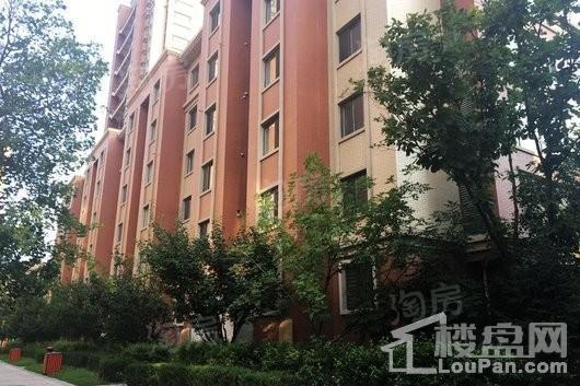 鑫丰雍景豪城实景图