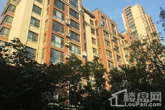 鑫丰雍景豪城实景图