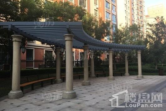 鑫丰雍景豪城实景图
