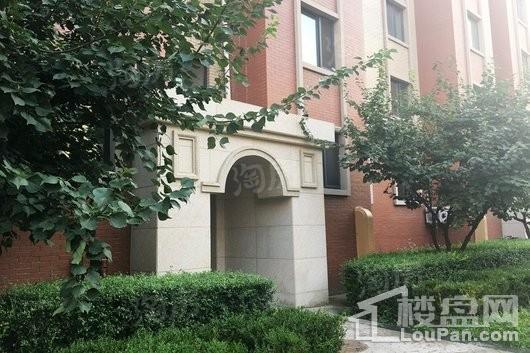 鑫丰雍景豪城实景图