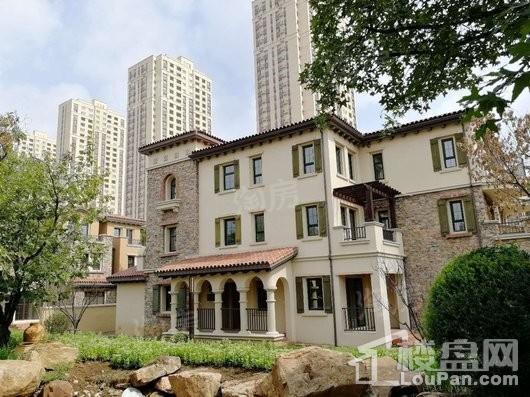 龙湖滟澜山 尘林间实景图