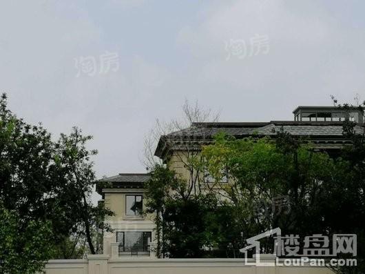 龙湖滟澜山 尘林间实景图