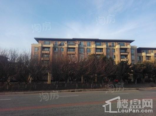 新湖仙林金谷实景图