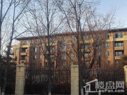 新湖仙林金谷实景图
