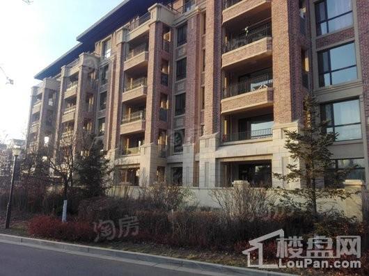 新湖仙林金谷实景图