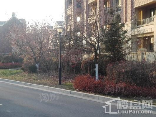 新湖仙林金谷实景图