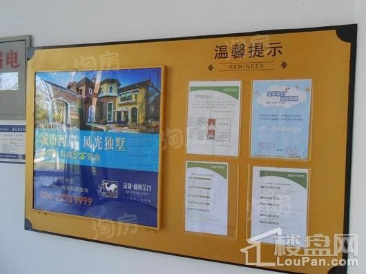新湖仙林金谷实景图