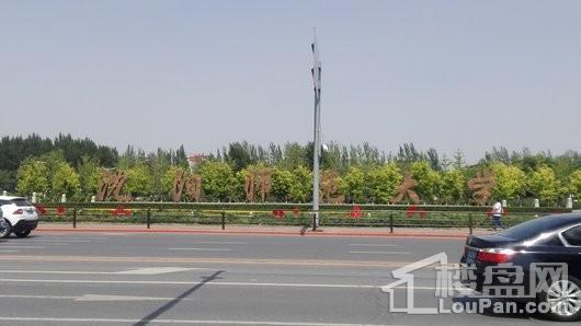 新湖仙林金谷配套图
