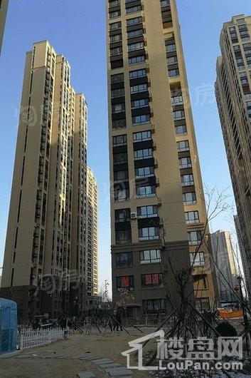 华府丹郡悦湖实景图