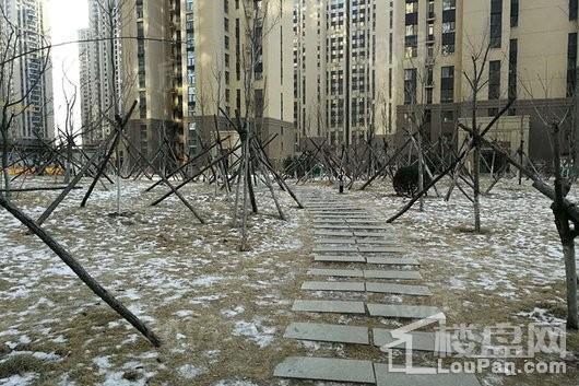 华府丹郡悦湖实景图