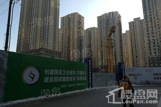 华府丹郡悦湖实景图