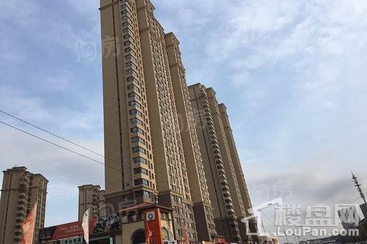 华府丹郡悦湖实景图