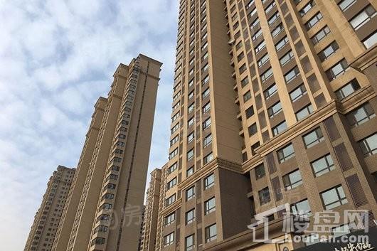 华府丹郡悦湖实景图