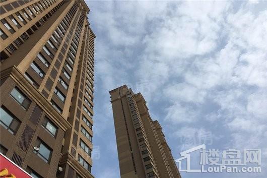 华府丹郡悦湖实景图