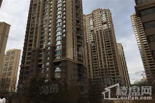 华府丹郡悦湖实景图