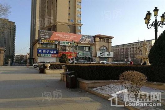 华府丹郡悦湖配套图