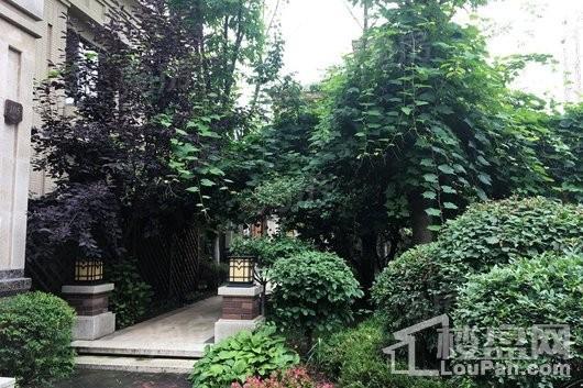 中海盛京府实景图
