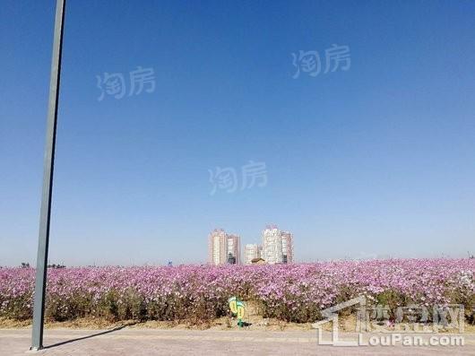 国奥新城实景图