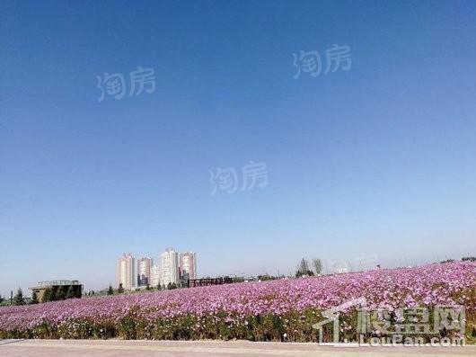 国奥新城实景图