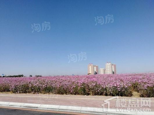 国奥新城实景图