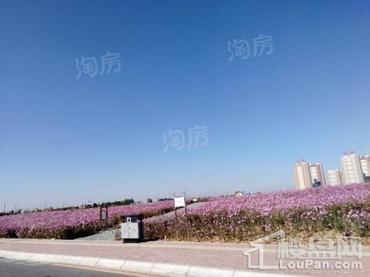 国奥新城配套图