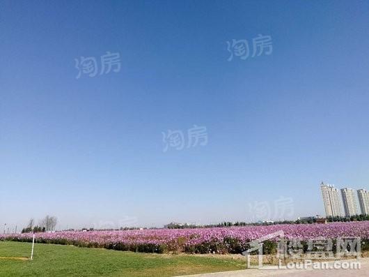国奥新城配套图
