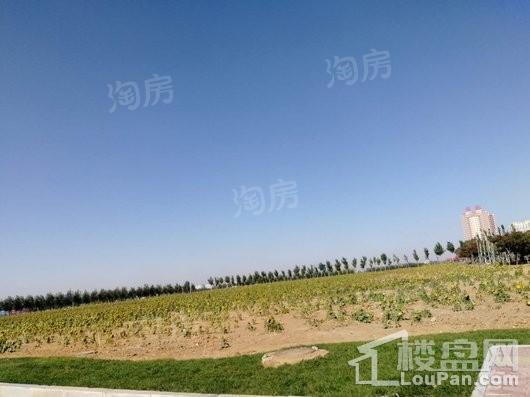 国奥新城配套图