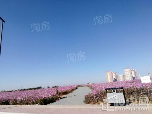 国奥新城配套图