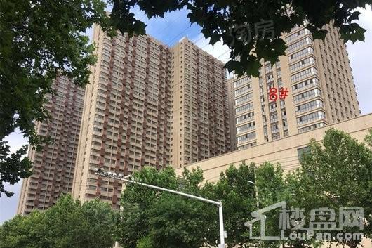 红璞棉花公寓实景图