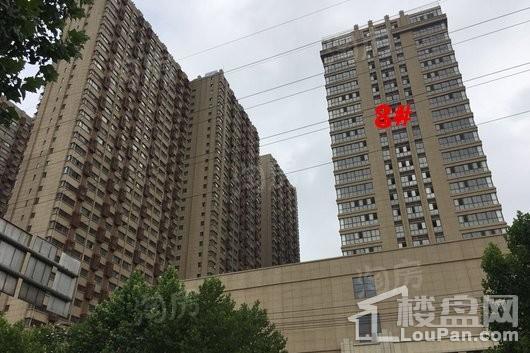 红璞棉花公寓实景图