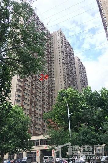 红璞棉花公寓实景图