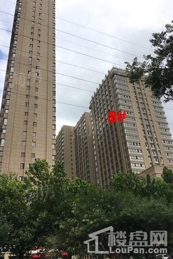 红璞棉花公寓实景图