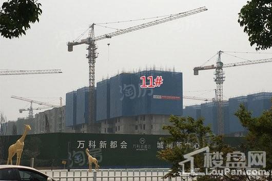 万科·新都会实景图