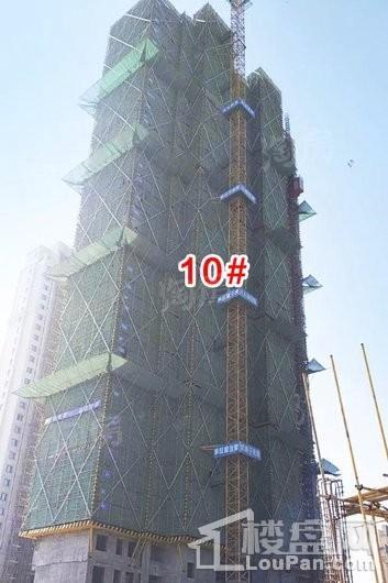 宝信润山御林实景图