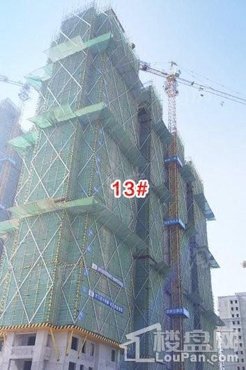 宝信润山御林实景图