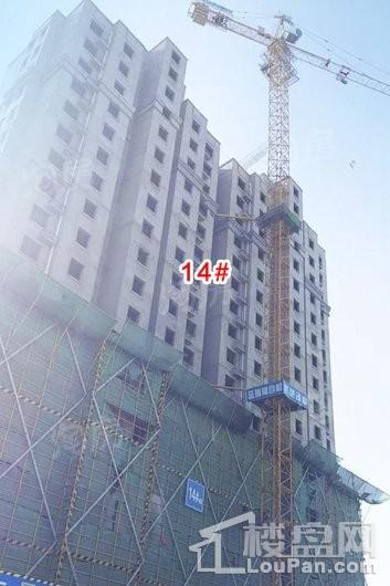 宝信润山御林实景图