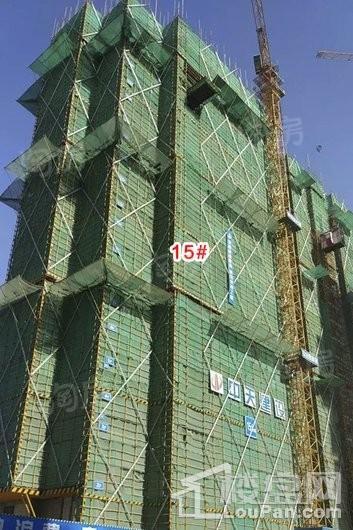 实景图